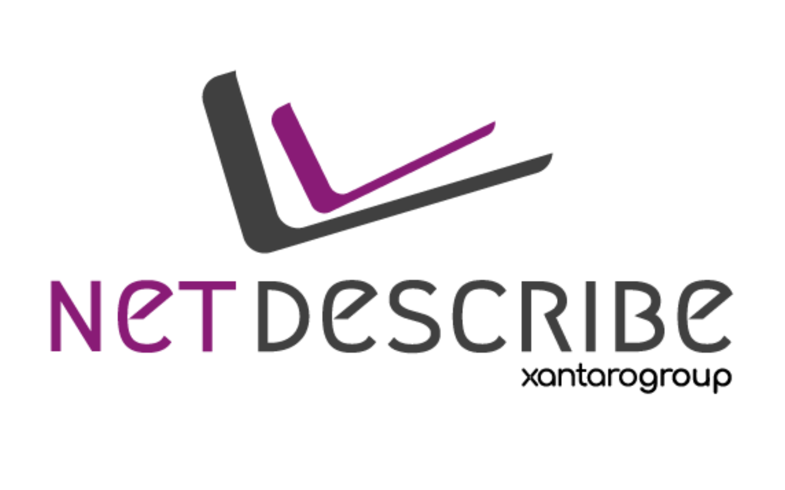 16-10-netdescribe-logo