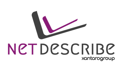 16-10-netdescribe-logo