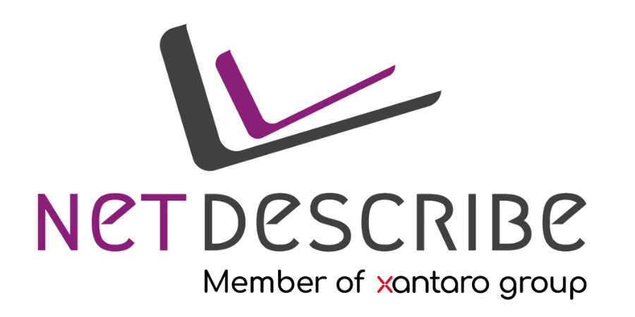 NetDescribe_vertikal-original_1200