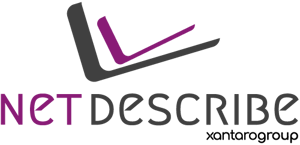 NetDescribe_vertikal-original_group_500